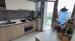 Sturdee Residences (D8), Condominium #501026251